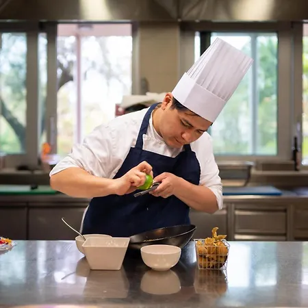 Szálloda Aqualux & Terme 4*